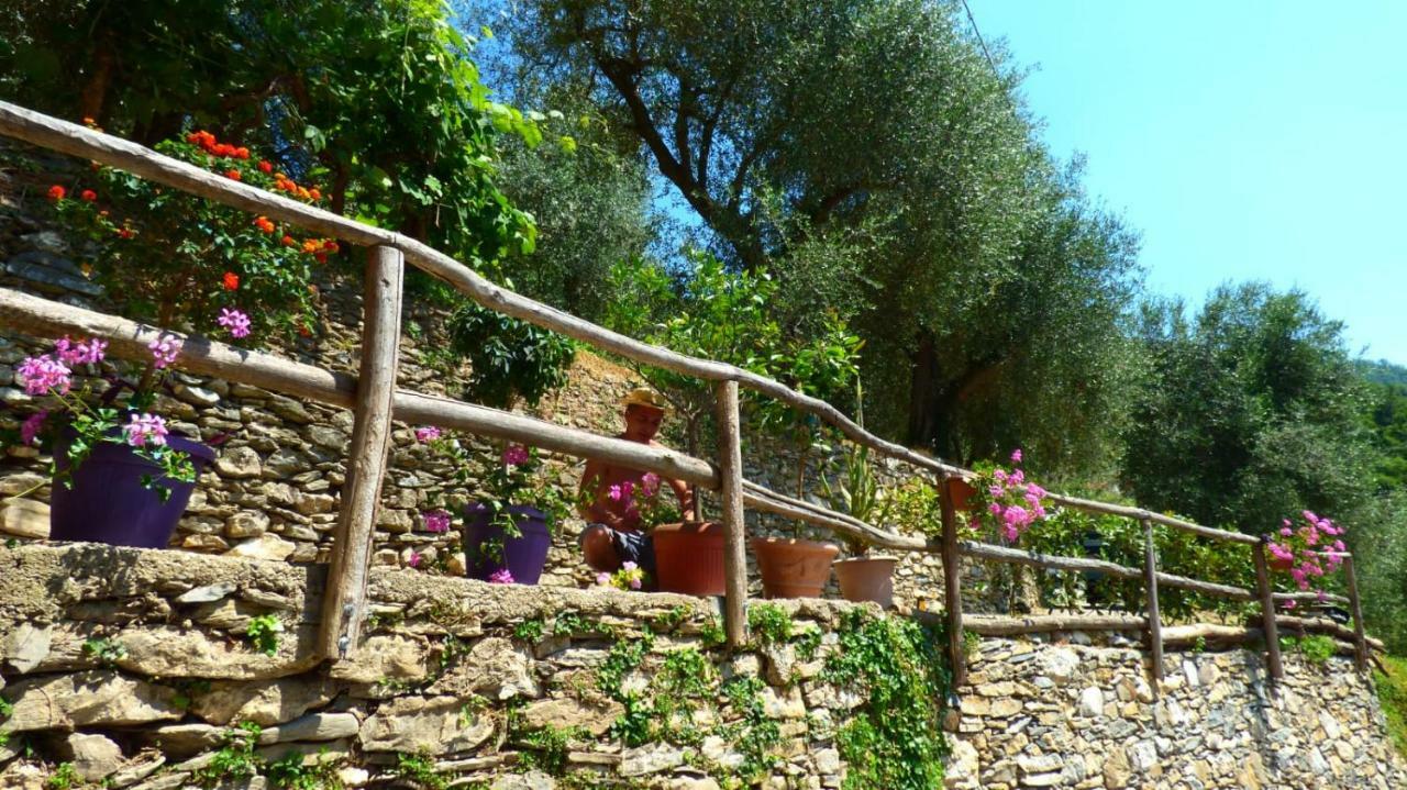 Casa Vacanze Sole Borghetto d'Arroscia Luaran gambar